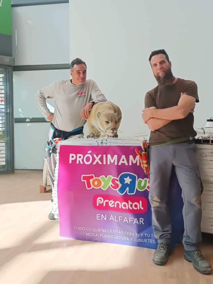 redes Aingenia trabajando